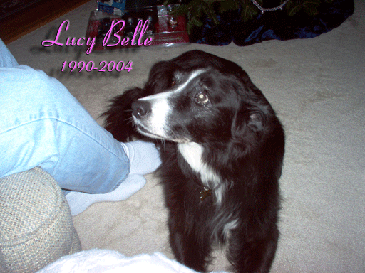 LucyBelle 1990-2004